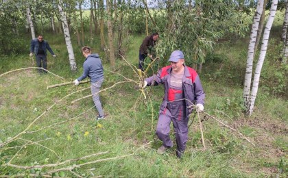 На Кобринщине продолжают наводить порядок