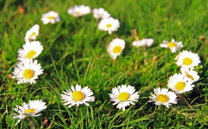 День Петра и Февронии: как привлечь любовь и счастье в семью 8 июля