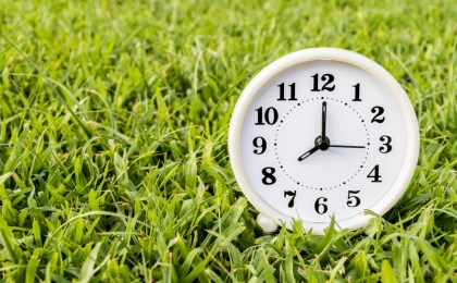 Осенью снова отдыхаем три дня подряд: названы даты ноябрьских выходных в Беларуси