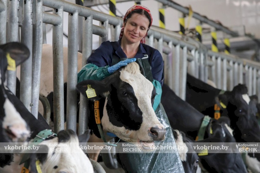 В Беларуси ощутимо увеличили выплаты для ряда работников аграрного сектора