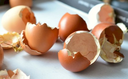 Яичная скорлупа не приносит пользы — что вы делаете не так