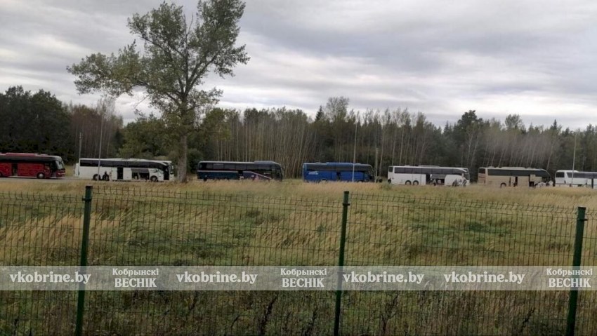 Более 1200 фур в очереди в Литву, автобусы стоят до 40 часов на границе с Латвией