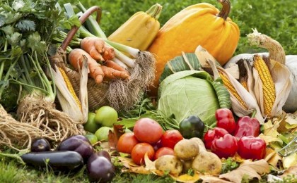 Осень не приговор. Как продлить урожайный сезон до первых холодов