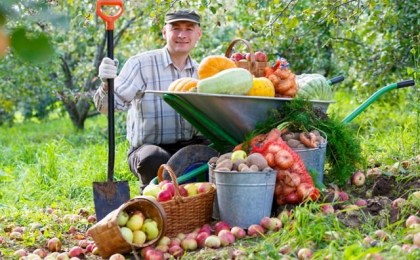 Налог для дачников - узнали в каком случае надо заплатить 10%