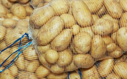 Сколько белорусам заплатят за овощи, грибы и ягоды: актуальные цены