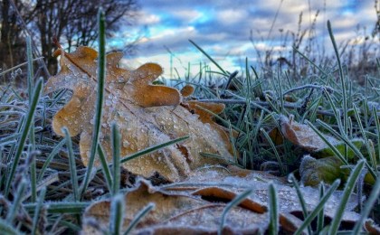 Заморозки и гололедица: что приготовила погода белорусам на следующей неделе