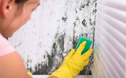 Как избавиться от сырости на стенах