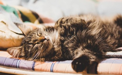 Совсем скоро – большие выходные. Как будем отдыхать и работать в ноябре?