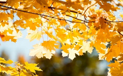 Дождевик или пуховик: Рябов рассказал какой будет погода с 27 октября по 2 ноября