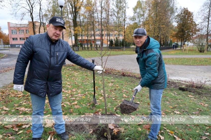 Около 22-х тысяч человек вышли навести порядок - Кобринщина приняла активное участие в республиканском субботнике