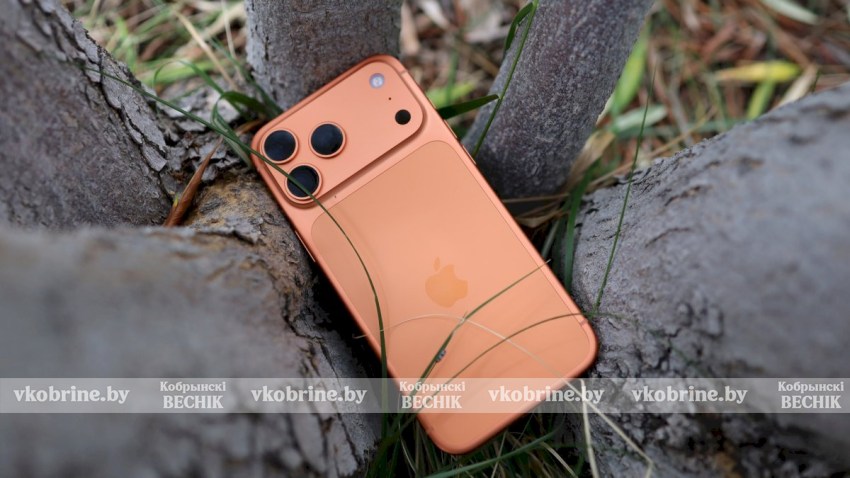 Школьница хотела скачать игру на телефон - теперь мошенники вымогают деньги за разблокировку