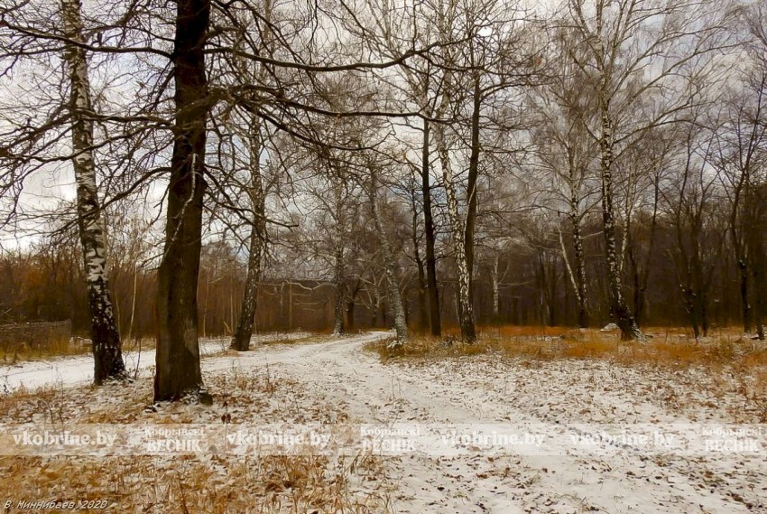 Скоро зима: синоптик Дмитрий Рябов предупредил о первых снежинках и гололеде в ноябре