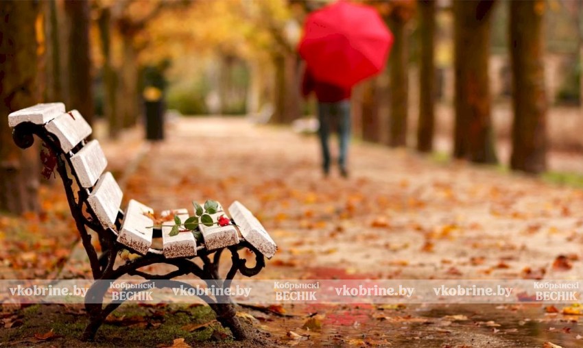 Чем обернется публикация чужого фото в интернете: правовой ликбез