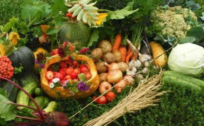 Поздравление руководства Кобринского района с Днем работников сельского хозяйства и перерабатывающей промышленности