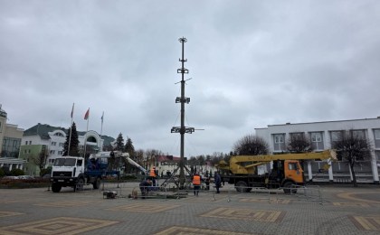 В Кобрине начали установку новогодней елки (ВИДЕО)