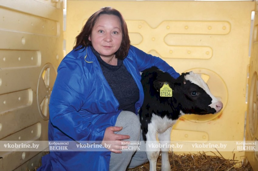 Оператор машинного доения СПК «Восходящая заря» Елена Зверева: «Без любви к животным здесь делать нечего»