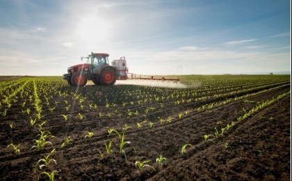 Труд аграриев — основа благосостояния страны: статистический обзор к профессиональному празднику