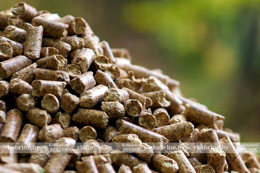 Экологически чистое тепло и экономия - Кобринский опытный лесхоз реализует пеллеты для населения