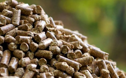 Экологически чистое тепло и экономия - Кобринский опытный лесхоз реализует пеллеты для населения