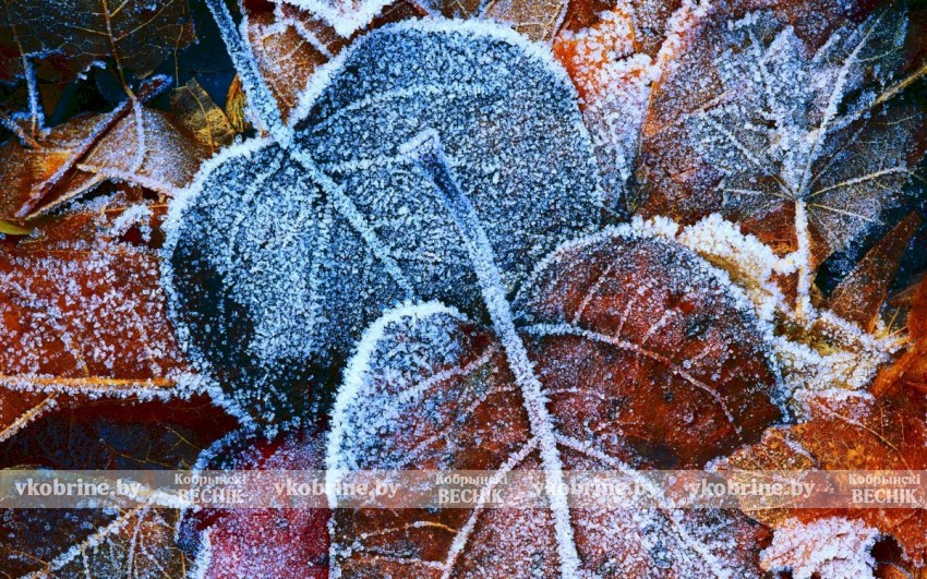 Когда ждать холода: прогноз синоптика Дмитрия Рябова на следующую неделю