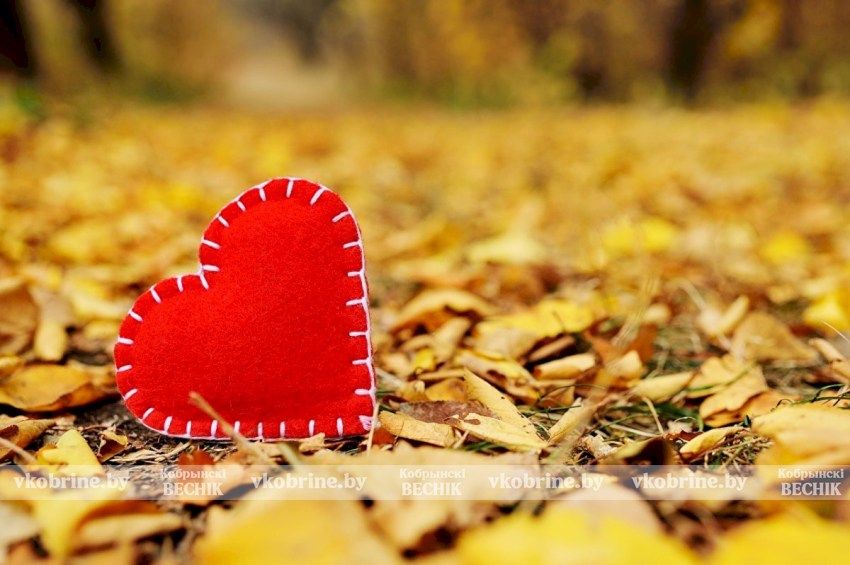 Любовь побеждает: на 6 свадеб пришлось всего 2 развода - статистика Кобринского ЗАГСа за прошлую неделю