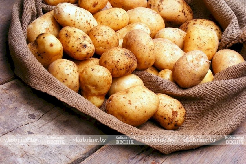 МАРТ установил предельные цены на картофель до конца мая 2026 года: дефицита не ожидается
