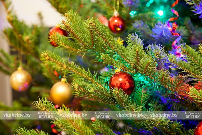 Когда ставить елку? Праздничный календарь дат, которые обещают чудеса