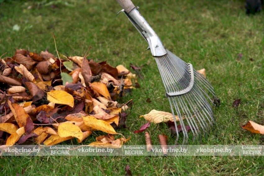 Контроль и порядок: как прошел месячник по благоустройству в Кобринском районе