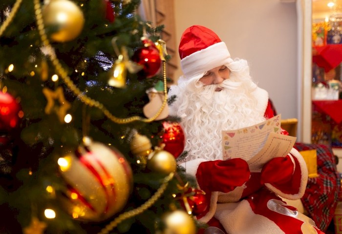 От Беловежской пущи до Полесья — 12 мест, где в Беларуси можно встретить Деда Мороза
