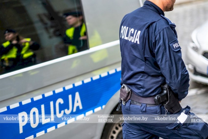 В Польше задержаны 100 человек подозреваемых в педофилии