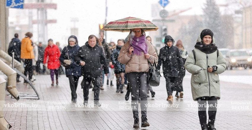 60 тысяч идей белорусов легли в основу программы социально-экономического развития страны