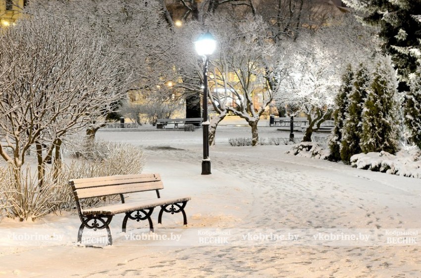 Ждать ли белорусам снежной зимы и какой будет предстоящая неделя? Синоптик удивил прогнозом