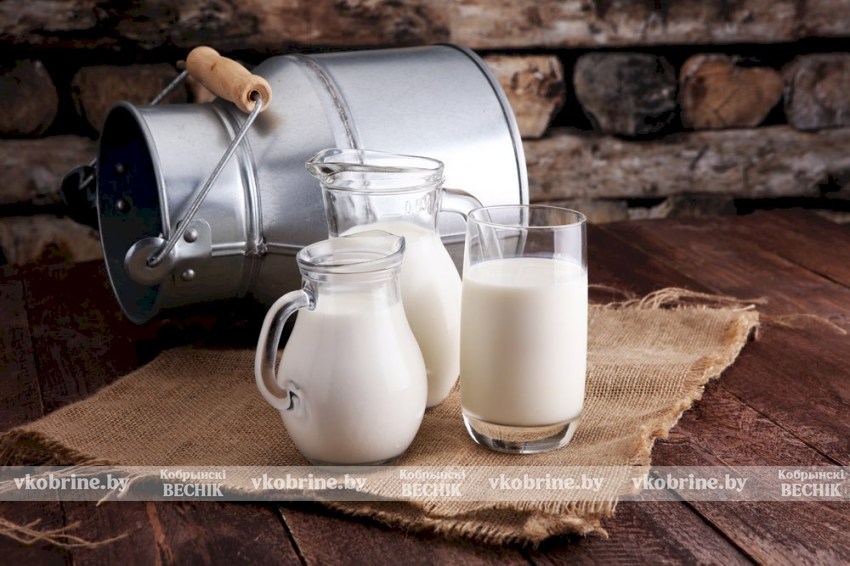 Узнали, какие напитки содержат большое количество белка