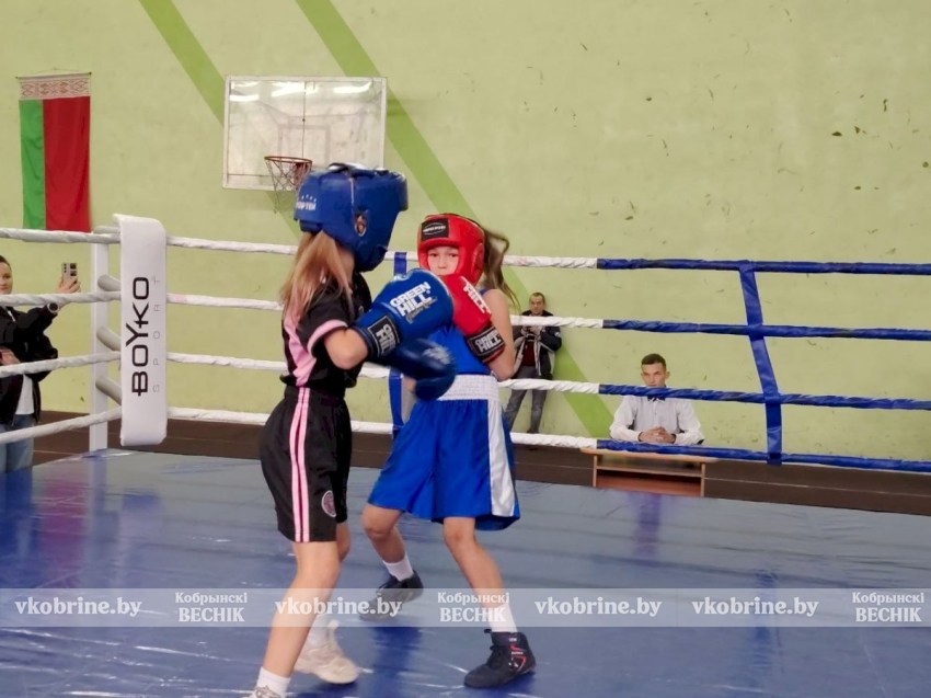Ринг для сильных духом - в Кобрине прошел открытый юношеский турнир по боксу