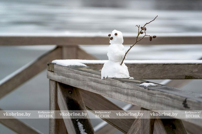 Туман и мокрый снег: чего ждать белорусам от погоды на этой неделе