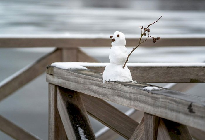 Туман и мокрый снег: чего ждать белорусам от погоды на этой неделе