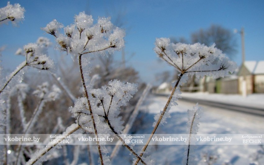 С морозом и снегом: синоптик Рябов рассказал, какой будет погода на католическое Рождество