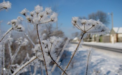 С морозом и снегом: синоптик Рябов рассказал, какой будет погода на католическое Рождество