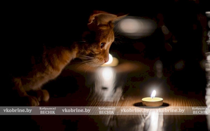 Узнали график отключения света в Кобринском районе с 22 по 24 декабря - ищите свой адрес