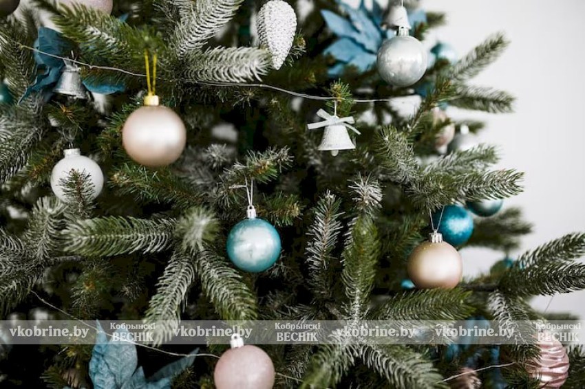 Поздравление руководства Кобринского района с наступающим 2026 годом!