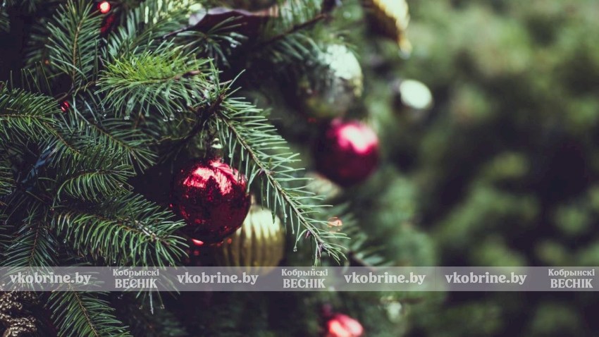 Поздравление депутата Полины Василюк с наступающим 2026 годом!