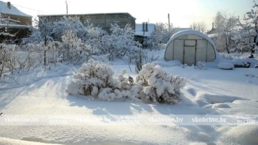 Снег на даче: когда его нужно убирать и в каких случаях лучше не трогать