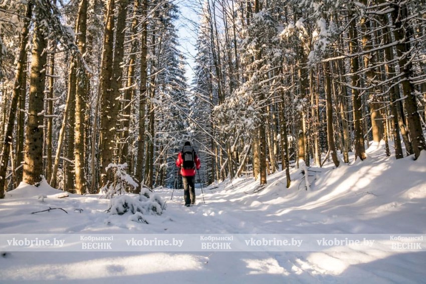 30–50% меньше шансов заболеть: сколько нужно гулять зимой для укрепления иммунитета