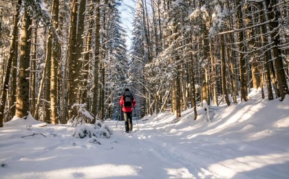 30–50% меньше шансов заболеть: сколько нужно гулять зимой для укрепления иммунитета