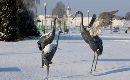 Снежная сказка в объективе - фотопрогулка по январскому Кобрину