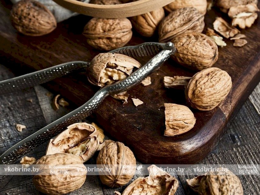 Знаете ли вы, для чего используют скорлупу грецкого ореха в цветочном горшке?