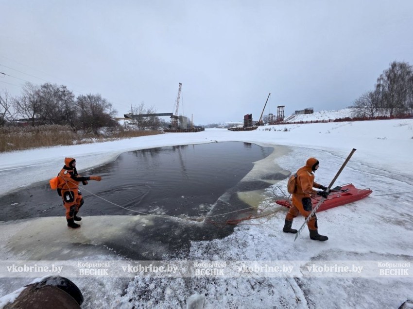 Посмотрите, как в Кобрине спасали уток (ВИДЕО)