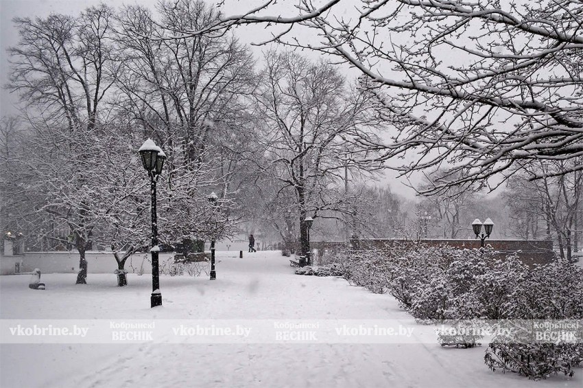 Январская оттепель с подвохом: синоптики предупреждают о сложной неделе