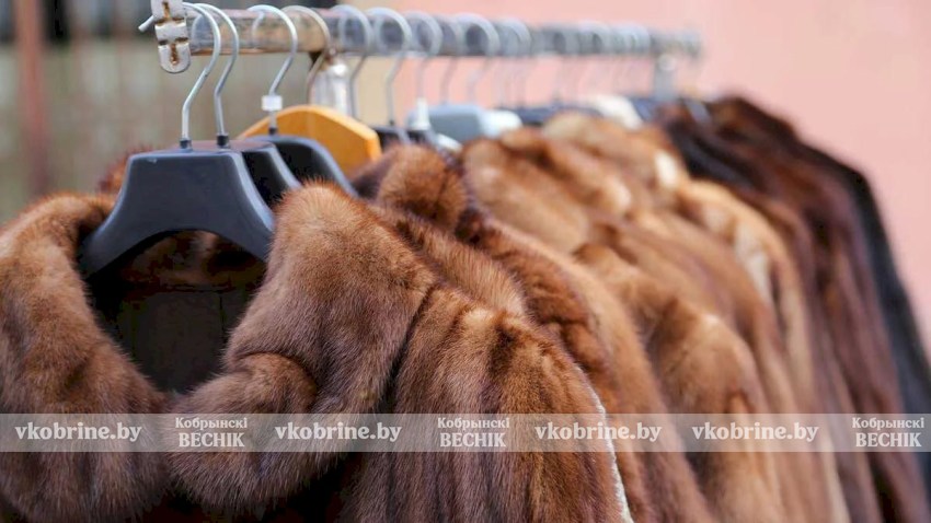 Инстаграм оденет и … «обует» - шубный бум от мошенников, которым кобринчанка перечислила 750 рублей