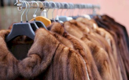 Инстаграм оденет и … «обует» - шубный бум от мошенников, которым кобринчанка перечислила 750 рублей